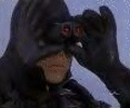 LFNbinoculars