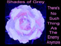 shades_by_Cyn