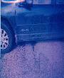 Cyns Car