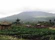 RWANDA Ep 221 ADRIENS GARDEN
