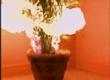 Soul Sacrifice
